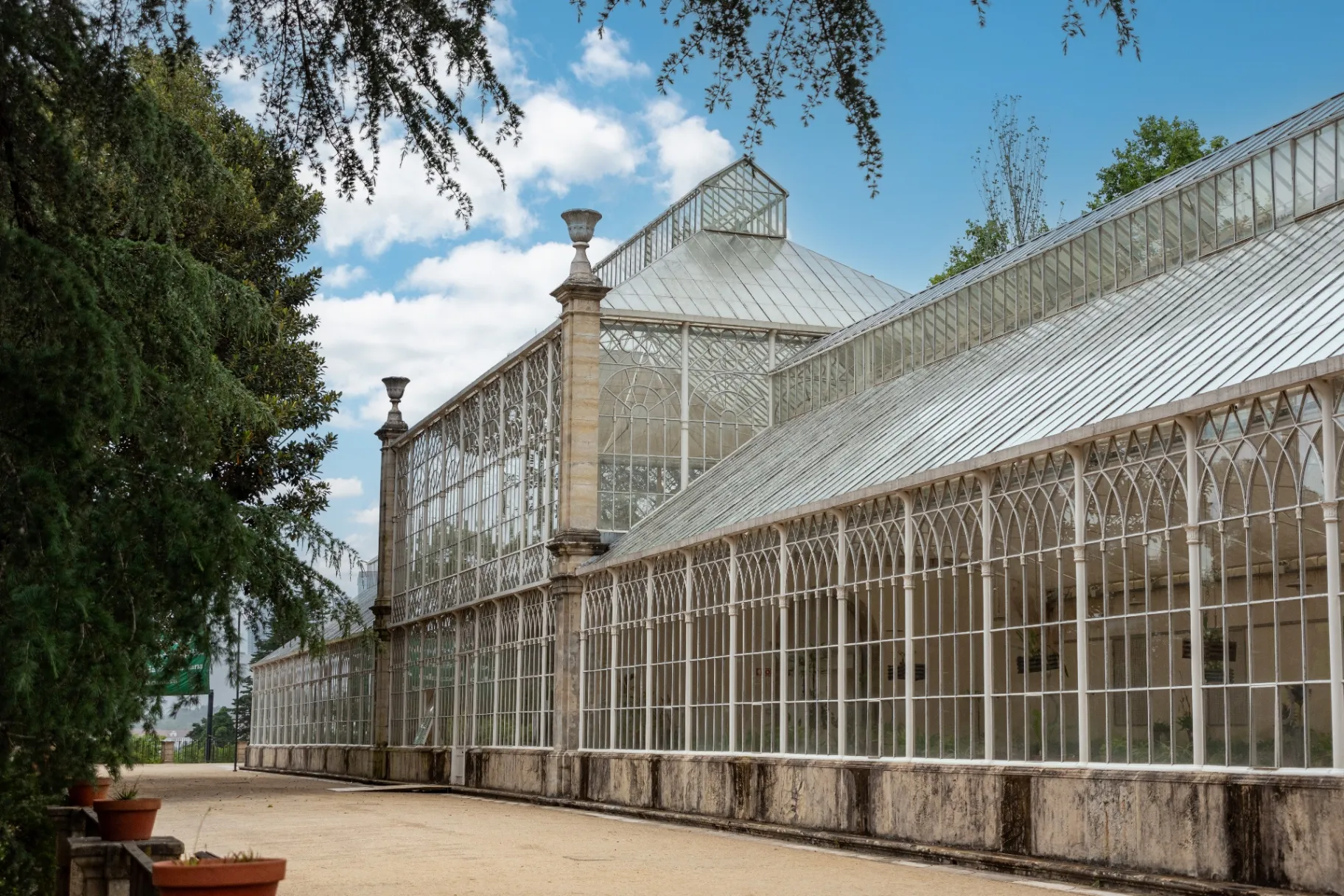 Tropical greenhouse at the Botanical Garden of the University of Coimbra